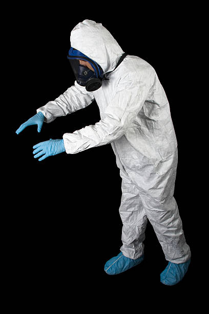 Best Real Estate Mold Inspection  in Stottville, NY